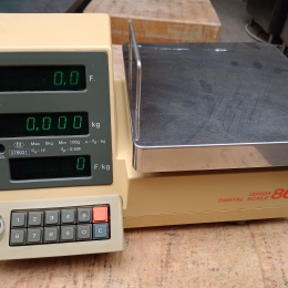 Ishida scale